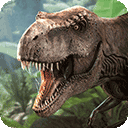 13音乐相册宝APP普通下载2024