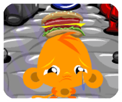 ¹网安卓版极速版下载