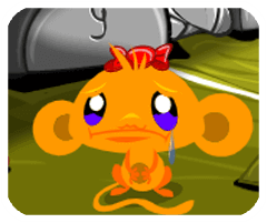 去哪儿汽车票安卓版2024最新版