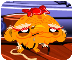 wlan密码查看神器更新版本2024